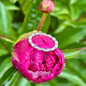 Ring silber - Welle